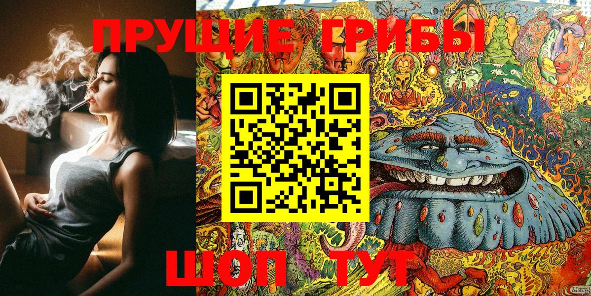 Буйнакск  Псилоцибиновые грибы Cubensis  купить закладку  Вход с VPN 